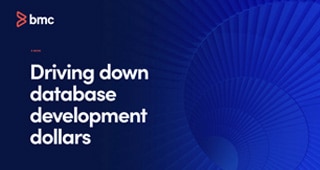 E-book: Driving Down Database Development Dollars