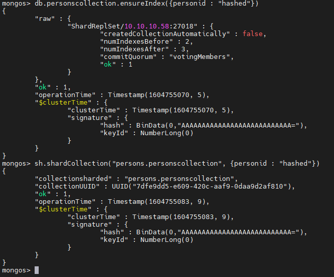 Creating the sharding dataset 4